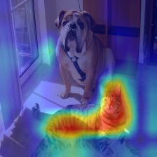 A picture of a cat and dog, but the cat is highlighted red